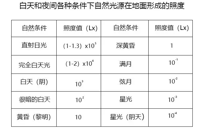 博物馆为什么没有自然光,自然光有危害吗