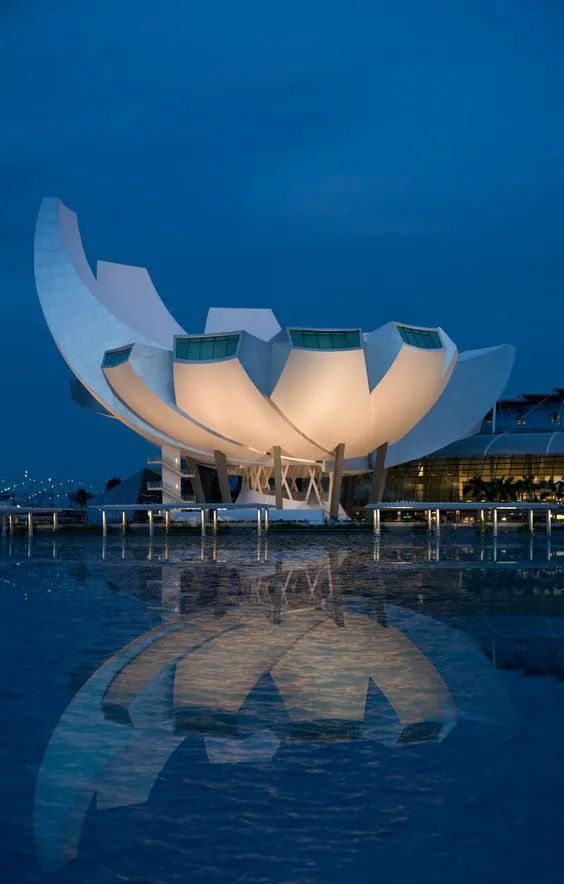 日光和灯光穿透基地并照亮了画廊