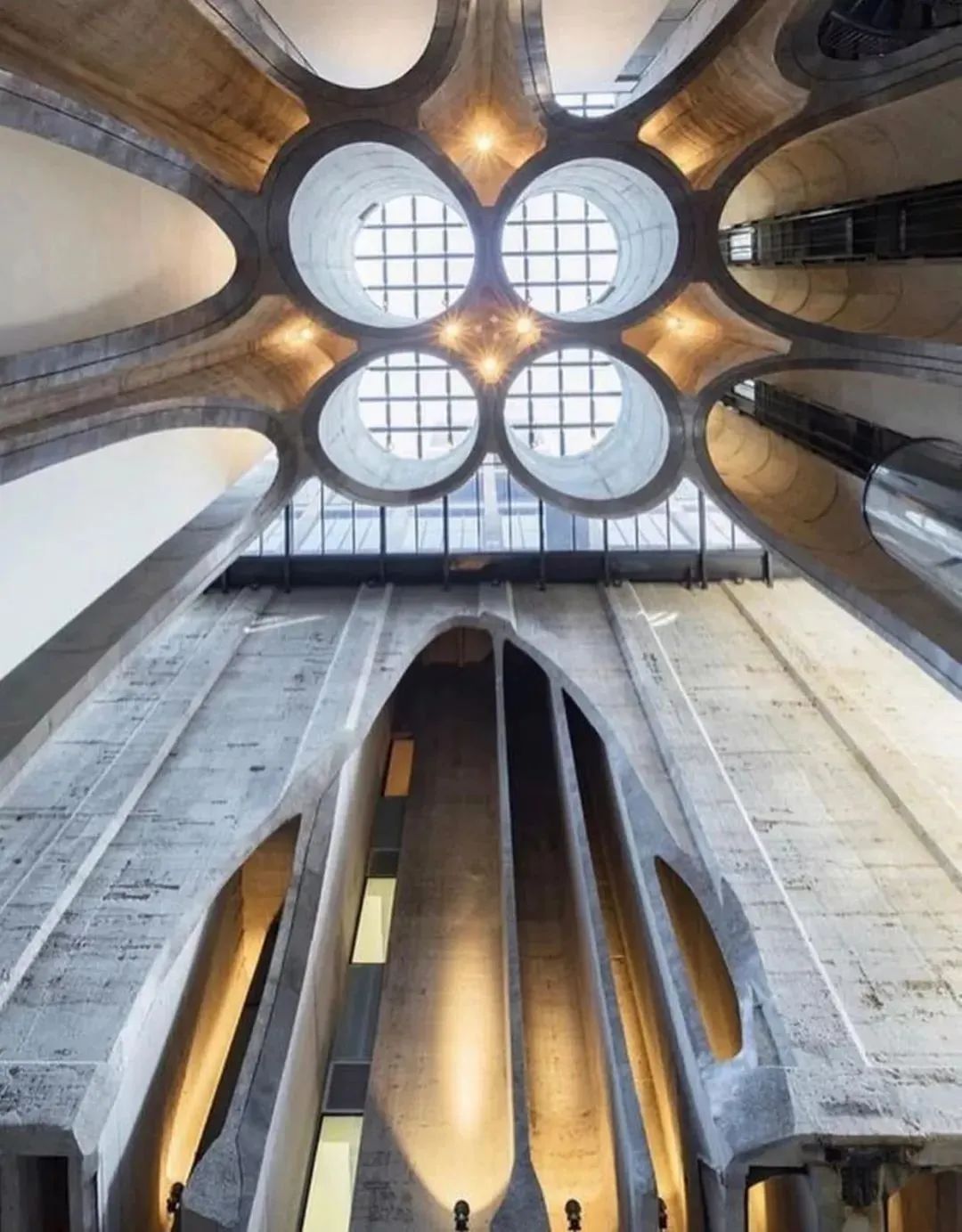 开普敦最高的建筑