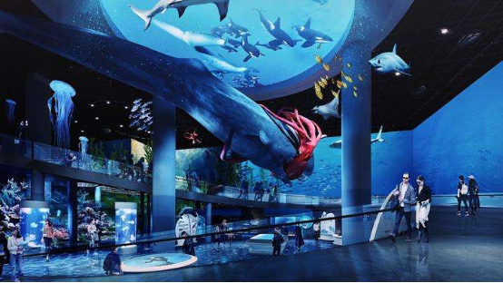 海洋生物场景